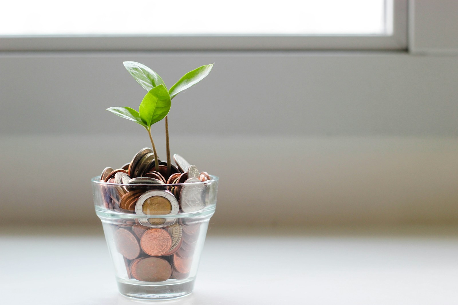 Best High-Yield Savings Accounts in 2026